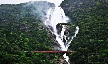Dudhsagar Waterfall Visit Goa’s iconic waterfall with a trusted Goa sightseeing taxi service Book today